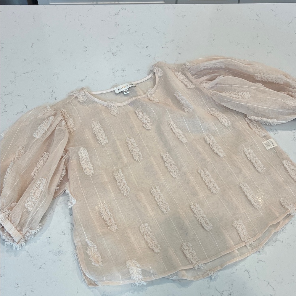 Elegant Sheer Blouse with Textured Design